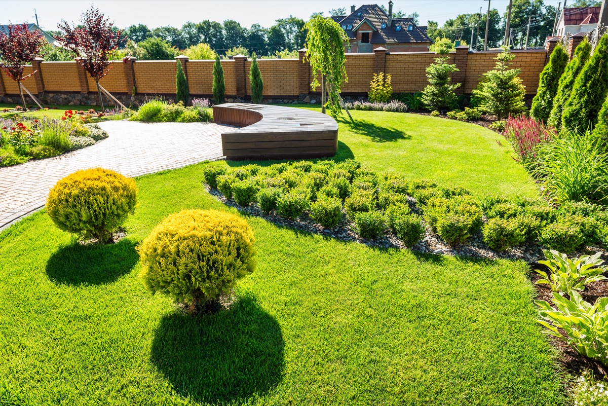 Finished landscaped yard with shaped shrubs, green lawn, planting beds, and a curved paver walkway
